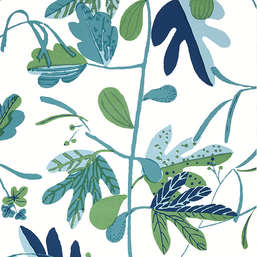  Thibaut Kismet T16209