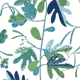  Thibaut Kismet T16209