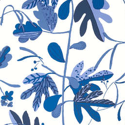  Thibaut Kismet T16211 