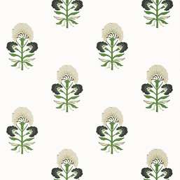  Thibaut Kismet T16214