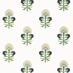  Thibaut Kismet T16214