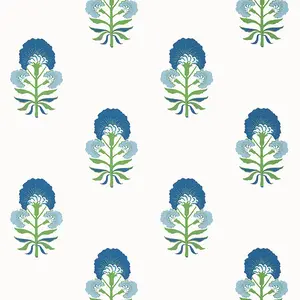  Thibaut Kismet T16215 -  1
