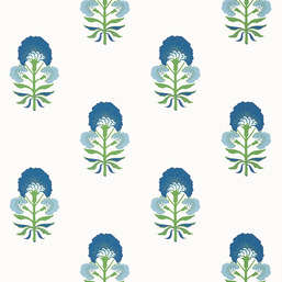  Thibaut Kismet T16215