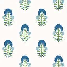  Thibaut Kismet T16215
