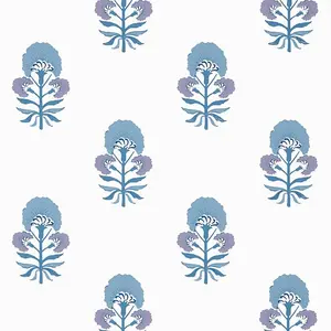  Thibaut Kismet T16216 -  1
