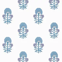 Thibaut Kismet T16216