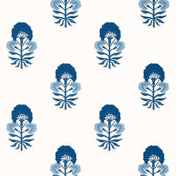  Thibaut Kismet T16217