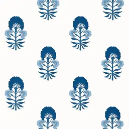  Thibaut Kismet T16217