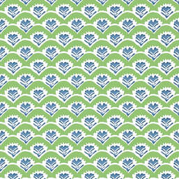  Thibaut Kismet T16251