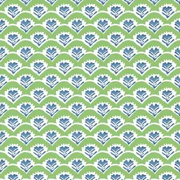  Thibaut Kismet T16251