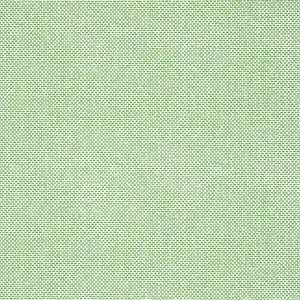  Thibaut Kismet T16261 -  1