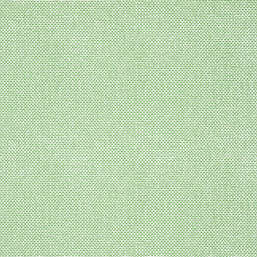  Thibaut Kismet T16261