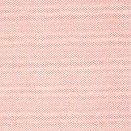  Thibaut Kismet T16263