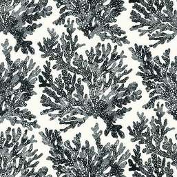  Thibaut Tropics Marine Coral T10123