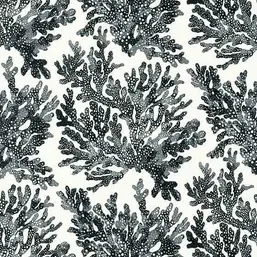  Thibaut Tropics Marine Coral T10123