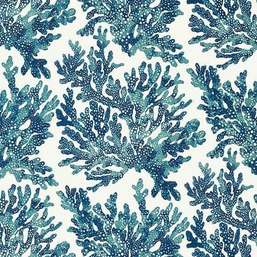  Thibaut Tropics Marine Coral T10124