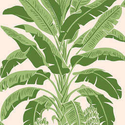  Thibaut Palm Grove T13917