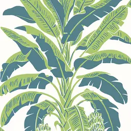 Thibaut Palm Grove T13918