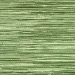  Thibaut Pavilion T13340