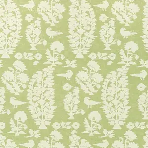  Thibaut Chestnut Hill T72597 -  1