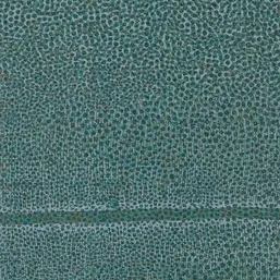  Tiffany Reef RE17