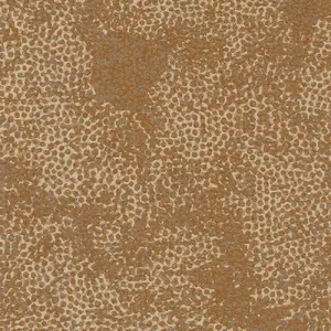  Tiffany Reef RE24 -  1