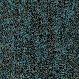  Tiffany Reef RE36