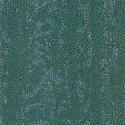  Tiffany Reef RE37
