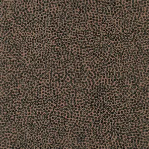  Tiffany Reef RE55 -  1