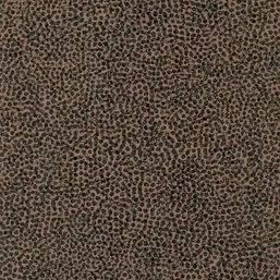  Tiffany Reef RE55