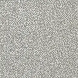  Tiffany Reef RE59