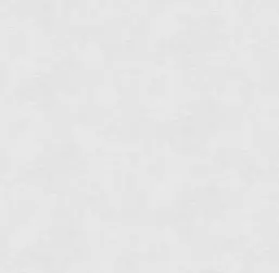  Victoria Stenova ����� 287381