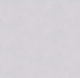  Victoria Stenova ����� 287388