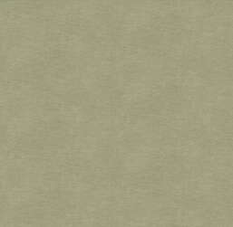 ���� Victoria Stenova ����� 287393