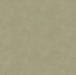  Victoria Stenova ����� 287393