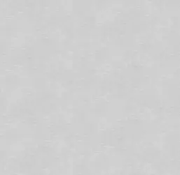  Victoria Stenova ����� 287396