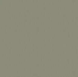 ���� Victoria Stenova ����� 588235