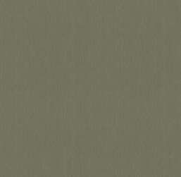 ���� Victoria Stenova ����� 588245