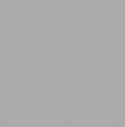  Victoria Stenova ����� 589367