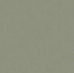 ���� Victoria Stenova ������� 287923