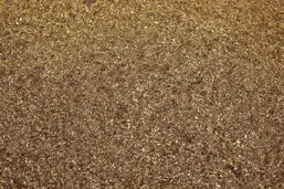  Victoria Du Monde Versailles V159