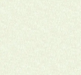  Wallquest Jasmine JA30405 -  1