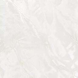 ���� Wiganford Ancy HK67851