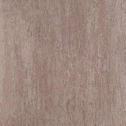  YIEN Colorshock 10-217