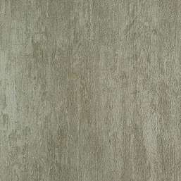  YIEN Colorshock 10-219
