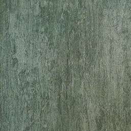  YIEN Colorshock 10-221