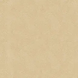  YIEN  Feerie 3502-24