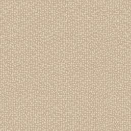  York Antonina Vella Dazzling Dimentions II  DD3806