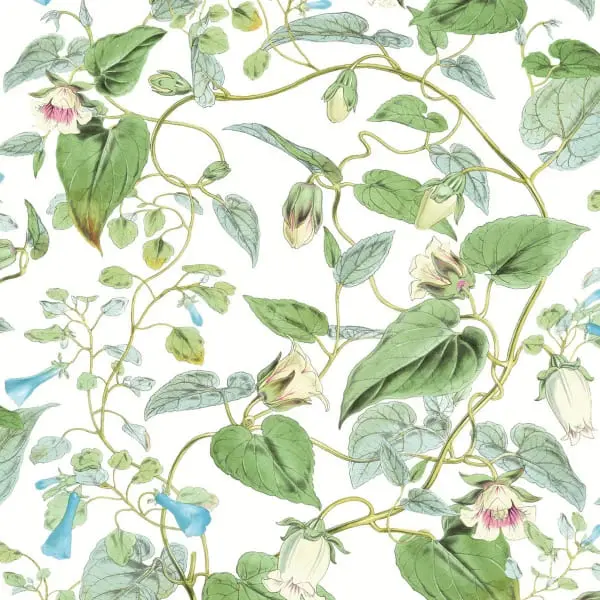  York Blooms Second Edition Resource Library BL1711 -  1