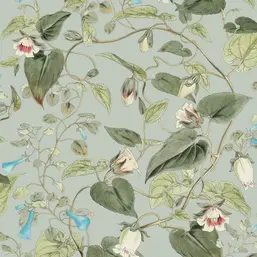  York Blooms Second Edition Resource Library BL1712